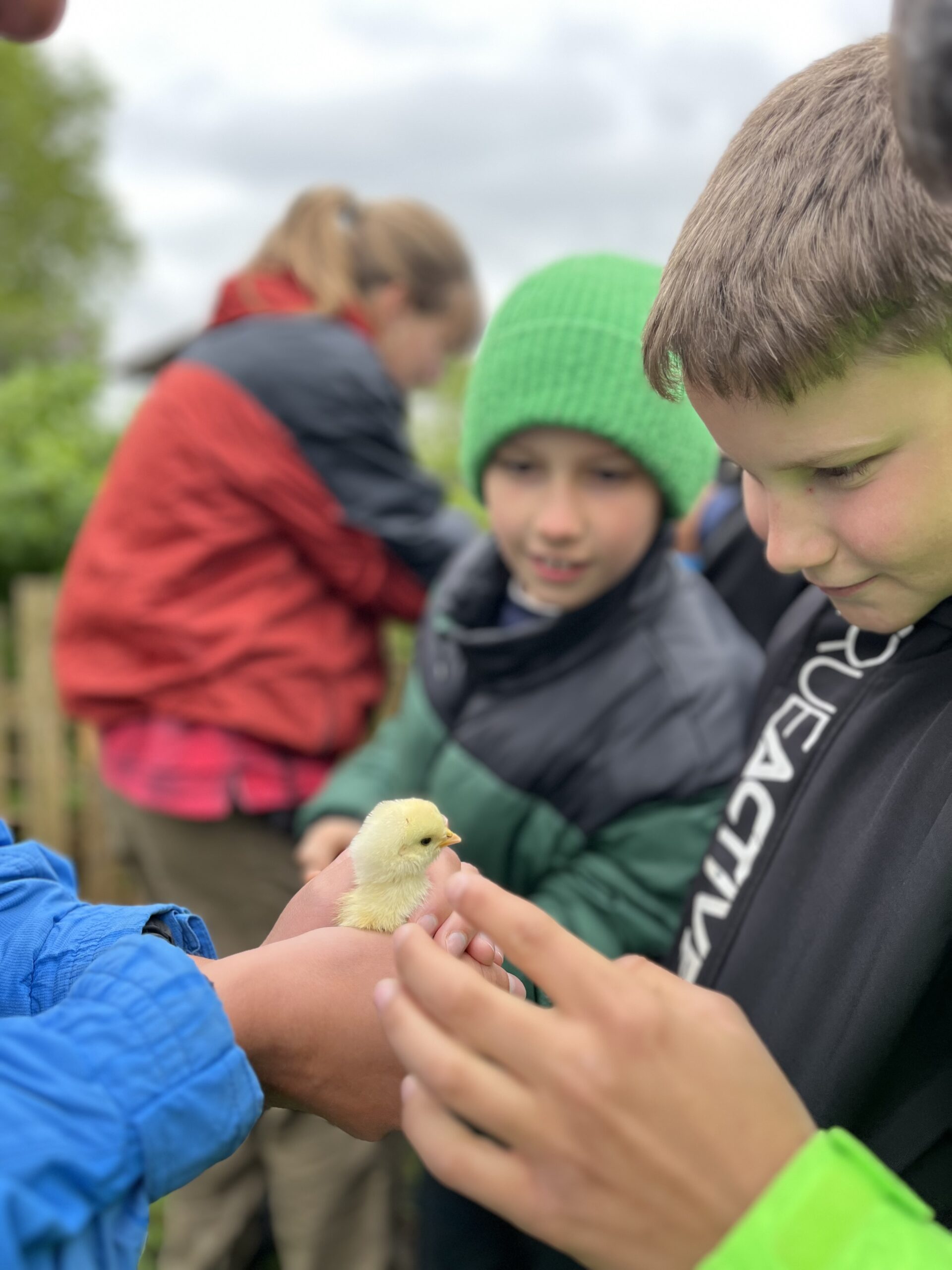 Besuch am Bio-Bauernhof in Dorfbeuern