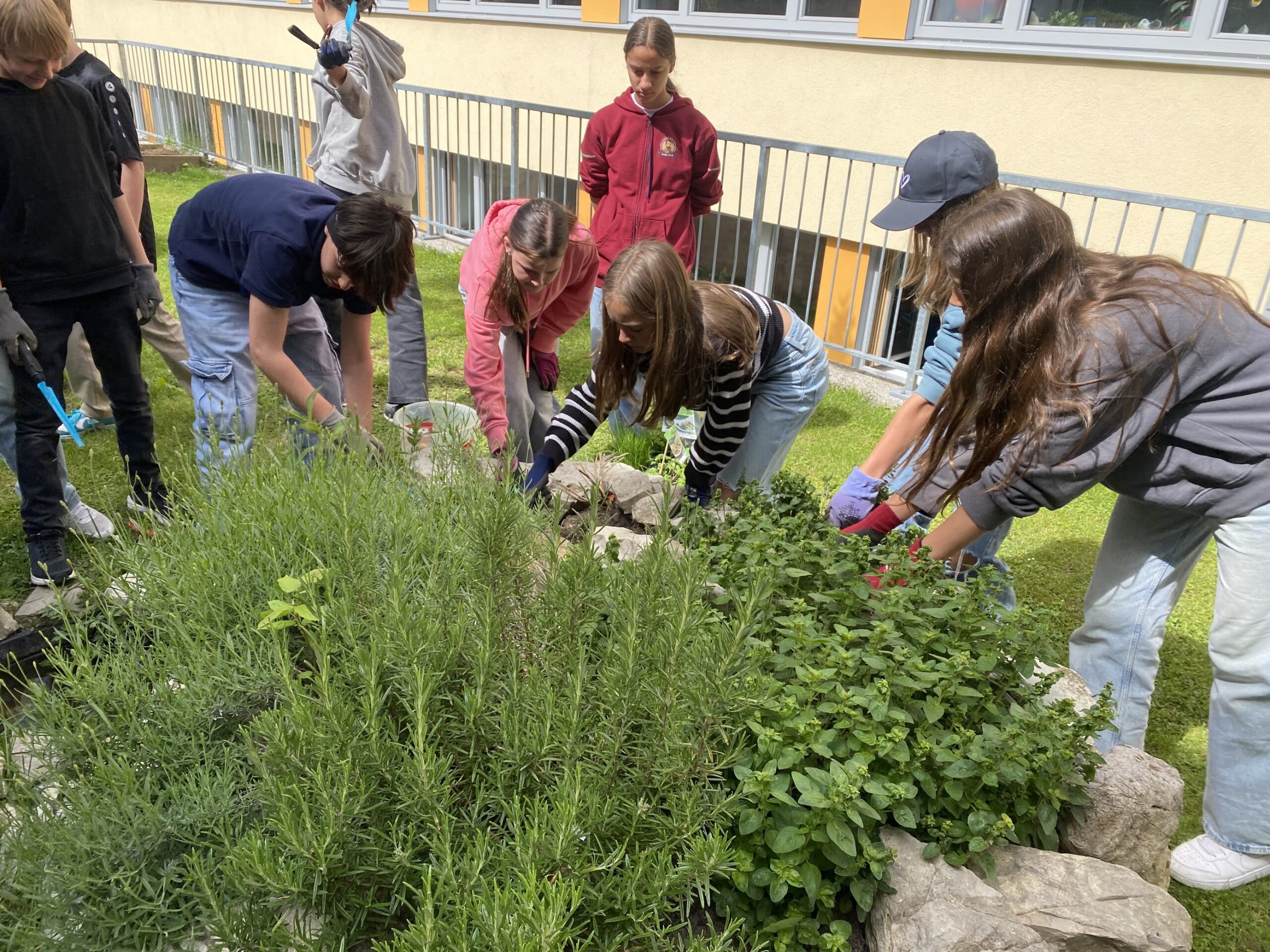 Bepflanzung der Kräuterspirale