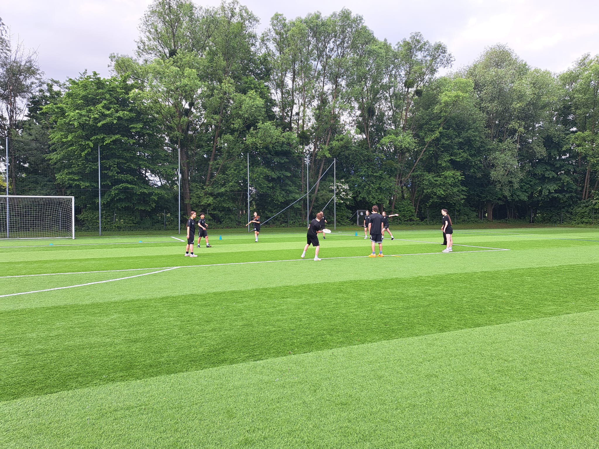 Ultimate Frisbee Meisterschaft